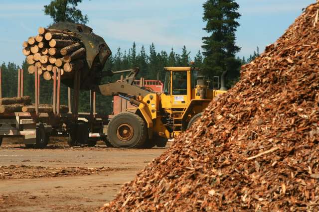Una importante empresa forestal en Virasoro, ha pagado solo el 30% de los salarios a sus empleados,